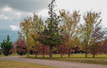 Terreno en La Rinconada Club de Campo