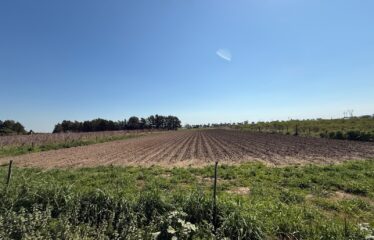 Campo en Arroyo Seco