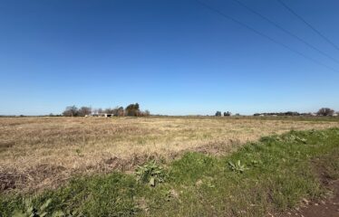 Campo en Arroyo Seco