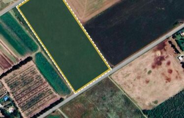 Campo en Arroyo Seco