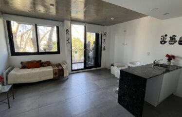 Monoambiente en Crespo al 300