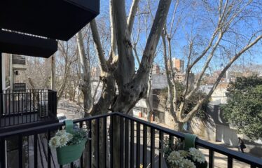 Monoambiente en Crespo al 300