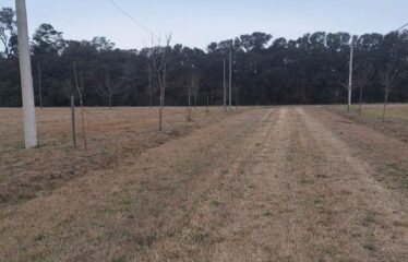 Terreno en Tierra de Sueños Casilda