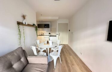 Departamento en Alem al 1500