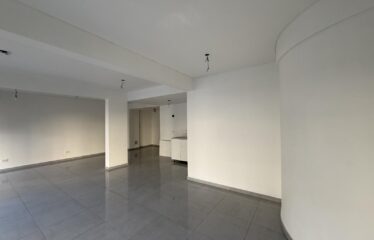 Local en Iriondo al 1500