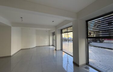 Local en Iriondo al 1500