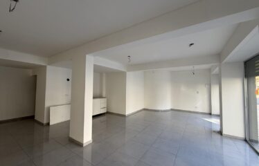 Local en Iriondo al 1500