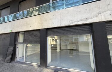 Local en Iriondo al 1500