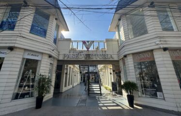 Local en Paseo Victoria, Funes