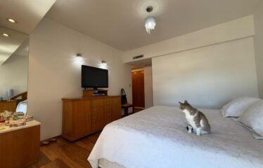 Departamento en Tucumán al 900