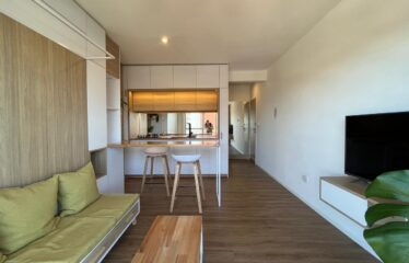 Departamento monoambiente en Avenida Francia al 800