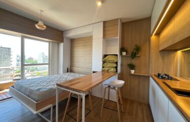 Departamento monoambiente en Avenida Francia al 800