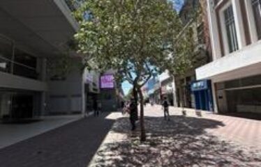 Local comercial en San Martín al 1100