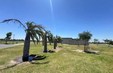 Terreno en Vida Club de Campo