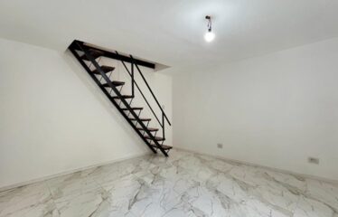 Casa de pasillo en San Martin al 1400
