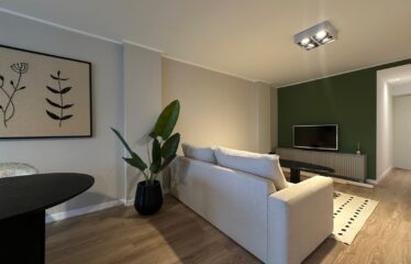 Departamento en Alem al 1500