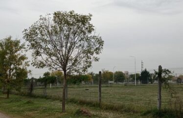 Terreno en Punta Chacra, Roldán
